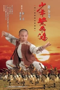 Young Hero Huang Fei Hong Series Poster