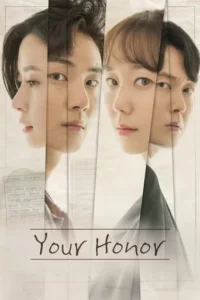 Your Honor Series Poster